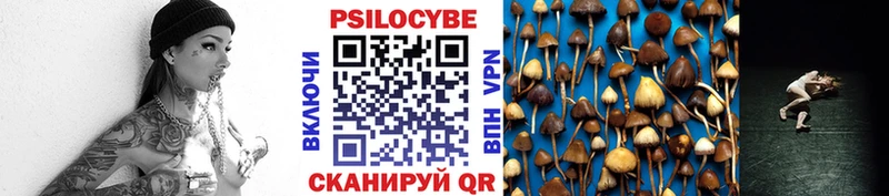 МЕГА tor  Невинномысск  Галлюциногенные грибы мухоморы 